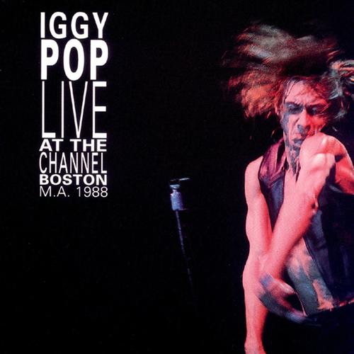 Pochette de Live At The Channel Boston (19/07/1988)
