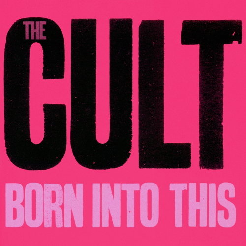 Pochette de Born Into This