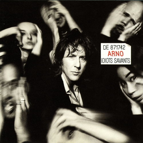 Pochette de Idiots Savants