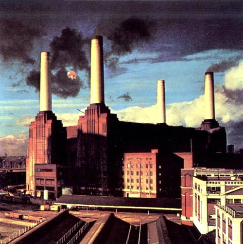 Animals