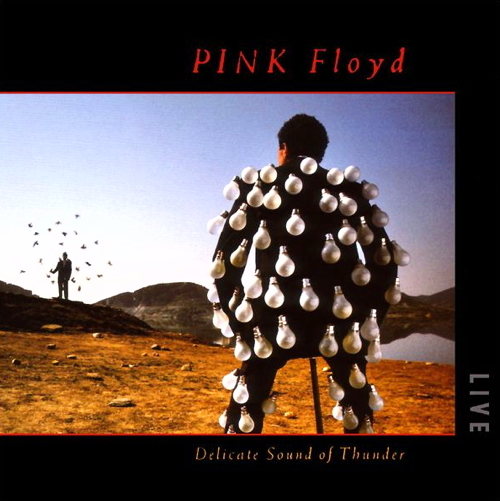 Delicate Sounds Of Thunder