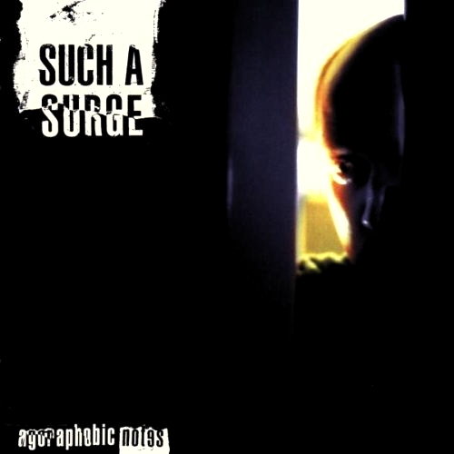 Pochette de Agoraphobic Notes