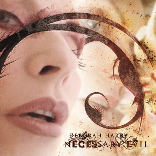 Pochette de Necessary Evil