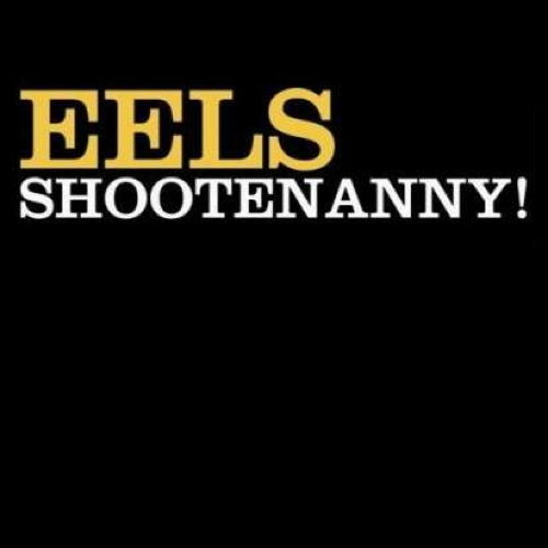 Pochette de Shootenanny!