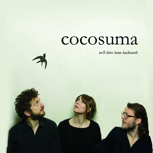 Pochette de We Will Drive Home Backwards