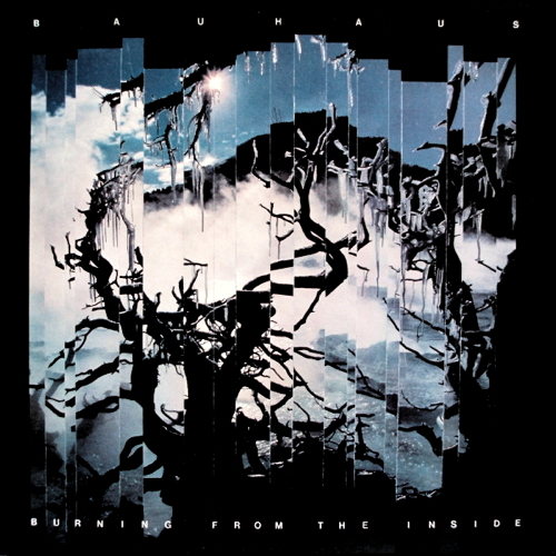 Pochette de Burning From The Inside