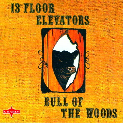 Pochette de Bull Of The Woods