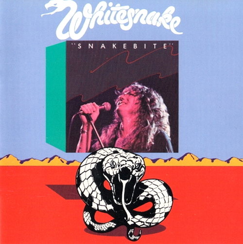 Snakebite