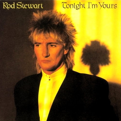 Tonight I'm Yours