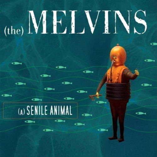 Pochette de A Senile Animal