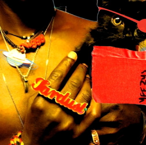 Pochette de The Inevitable Rise And Liberation Of Niggy Tardust