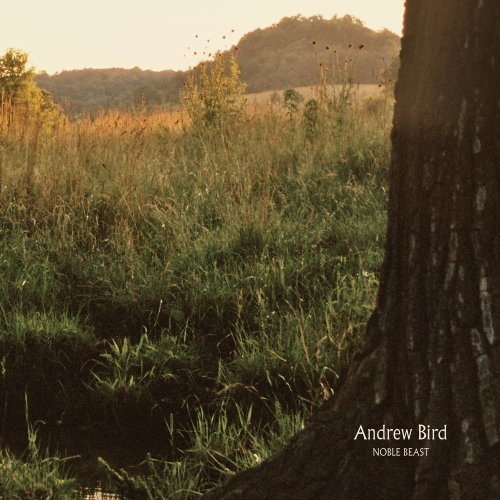 Pochette de Noble Beast