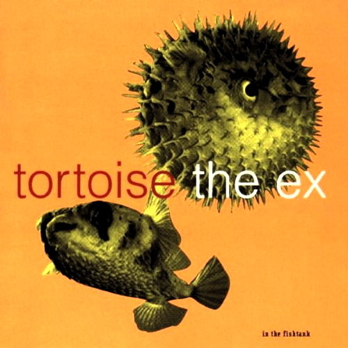 Pochette de In The Fishtank