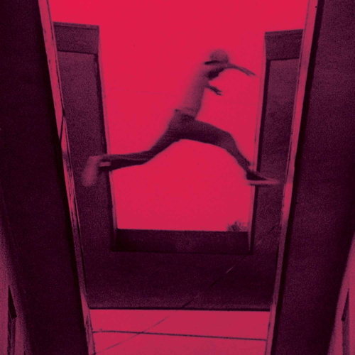 Pochette de The Ecstatic