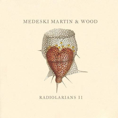 Pochette de Radiolarians II