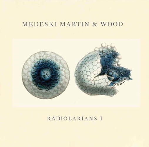 Pochette de Radiolarians I