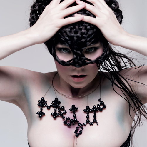 Pochette de Medulla