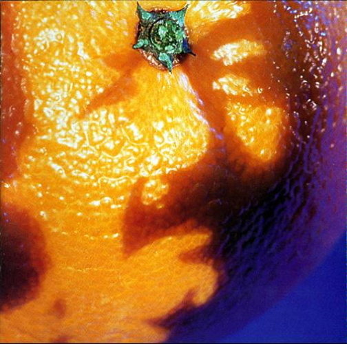 Pochette de A Picture Of Nectar