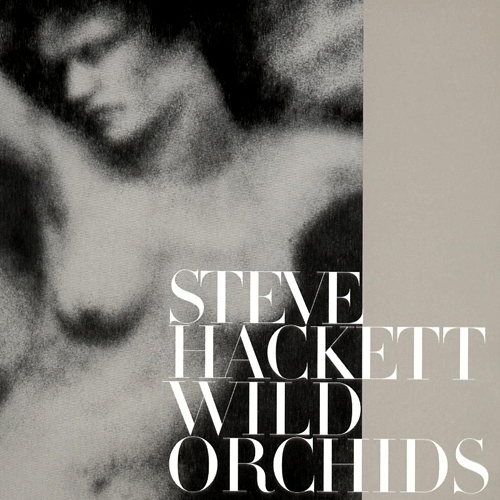 Wild Orchids