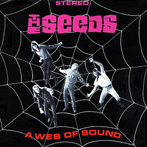 Pochette de A Web Of Sound
