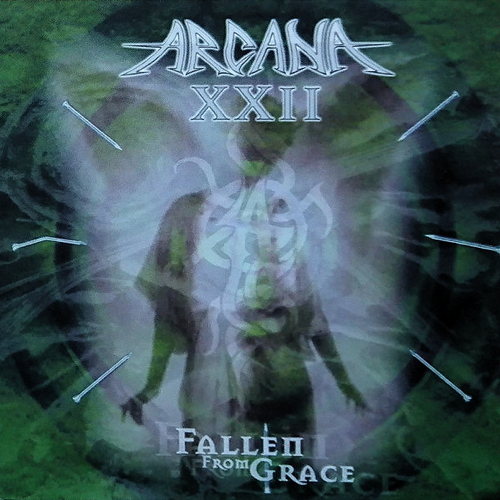 Pochette de Fallen From Grace