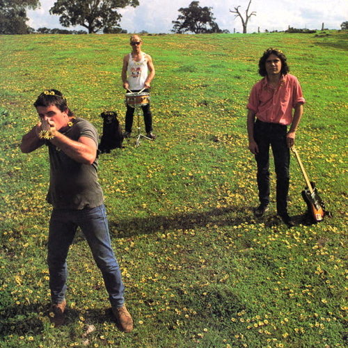 Down On The Farm