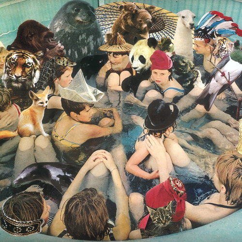 Pochette de Person Pitch