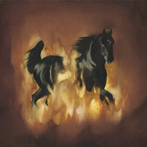 Pochette de The Besnard Lakes Are The Dark Horse