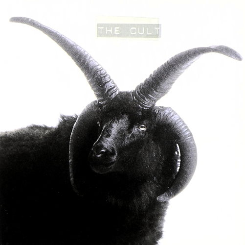 The Cult