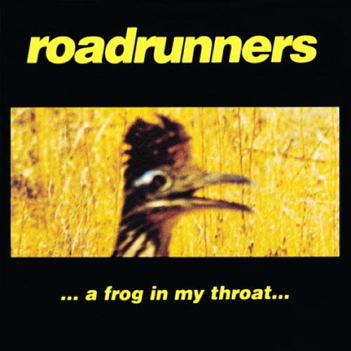 Pochette de A Frog In My Throat