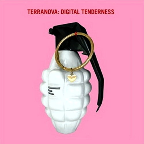 Pochette de Digital Tenderness
