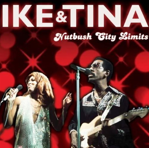 Pochette de Nutbush City Limits