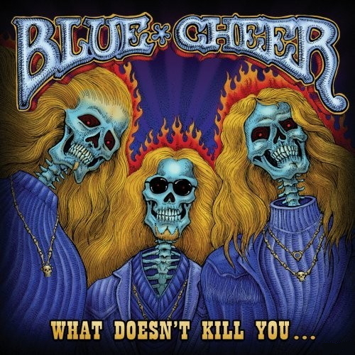 Pochette de What Doesn't Kill You...