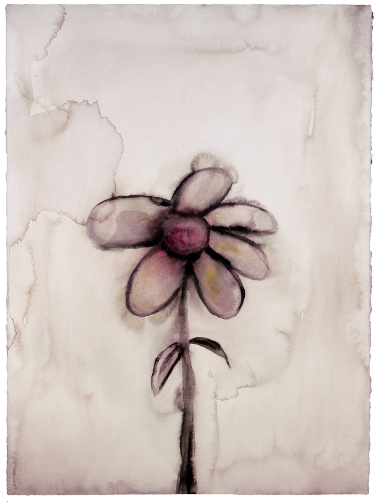 Grey Daisy, Marilyn Manson