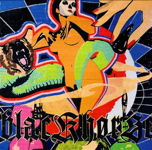 pochette