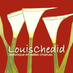 pochette