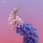 pochette