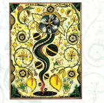pochette