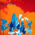 pochette